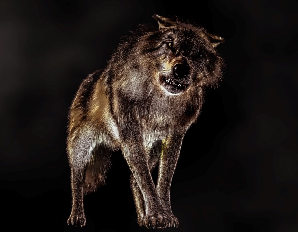 Big Bad Wolf