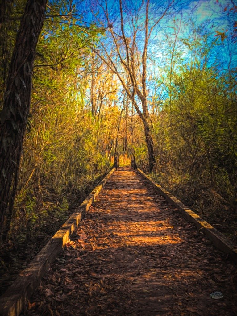 The Wooden Trail