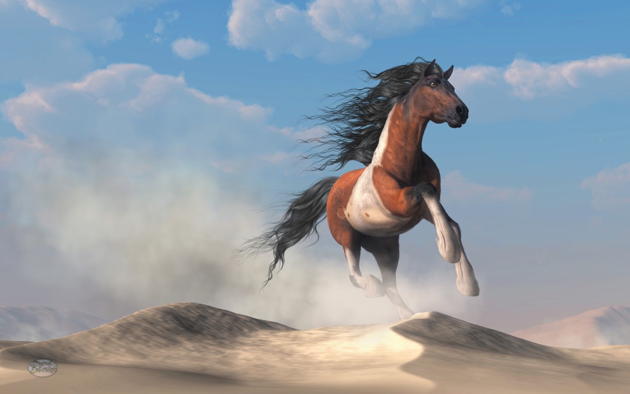 Paint Horse In The Desert